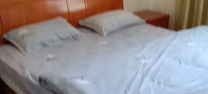 桃江湘武情缘酒店图片