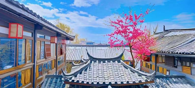 南山草堂客栈(丽江束河书香门第院)图片