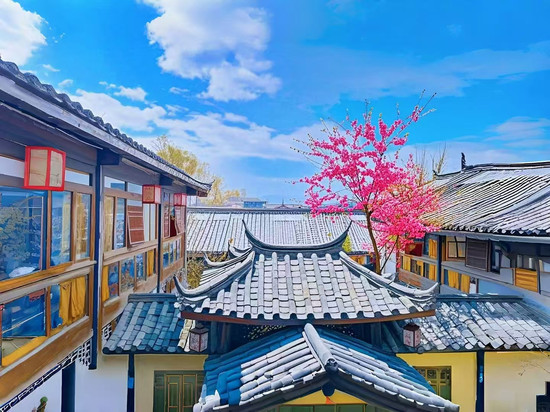 南山草堂客栈(丽江束河书香门第院)