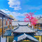 南山草堂客栈(丽江束河书香门第院)