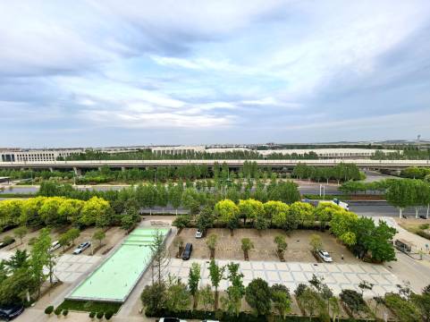 郑州港区智选假日酒店(新郑国际机场店)图片