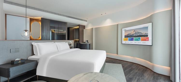 星展朗豪国际酒店(佛山南海新都会大沥步行街店)图片