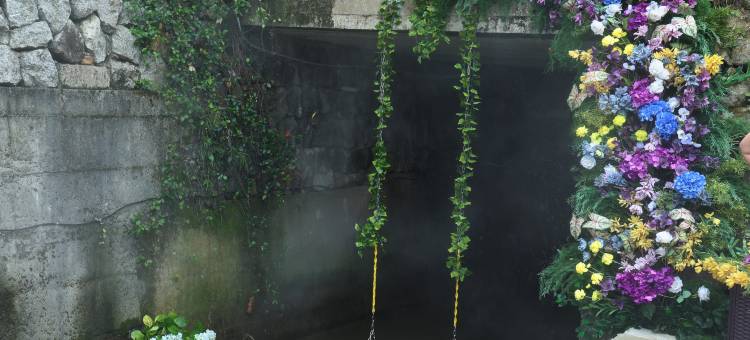 茶野CHAYE丨临雾竹畔・茶园私汤温泉度假野奢美宿图片