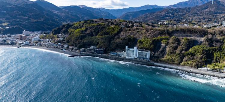 热川温泉蓝海酒店(Atagawa Onsen Blue Ocean)图片