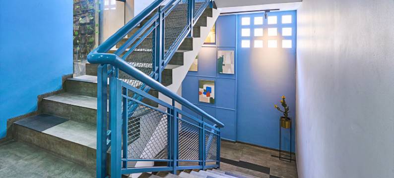 巴厘居民(Bale Resident)图片