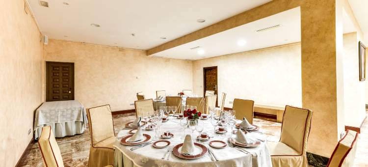 赛尔科特尔阿方索六世酒店(Sercotel Alfonso VI)图片