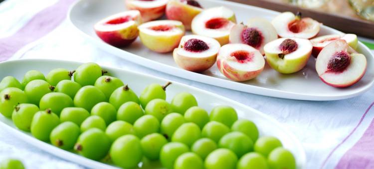 愈境自然艺术疗愈主题民宿图片