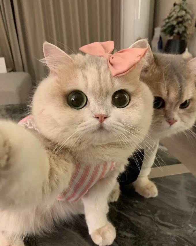 丽江·古城区丨VIEW·BYARTOUR-LA·栢雅朵高空观景酒店(丽江时光店)图片