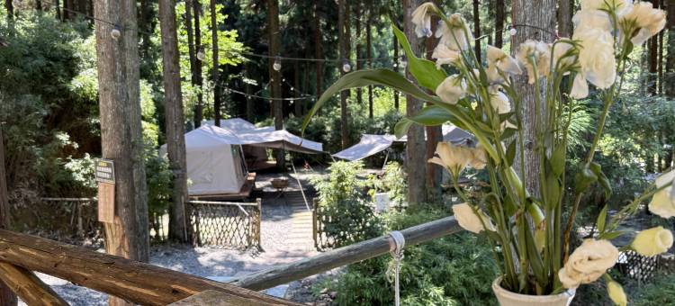 杉屿树森林营地(山王坪店)图片