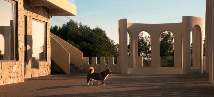 在野民宿(平潭长江澳海滩店)图片