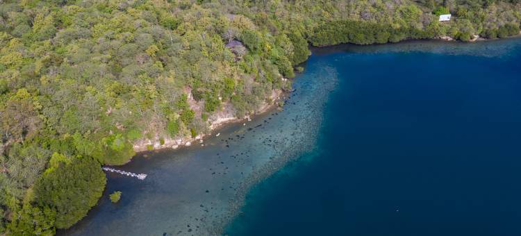 曼赞甘生态旅馆(Menjangan Ecolodge)图片