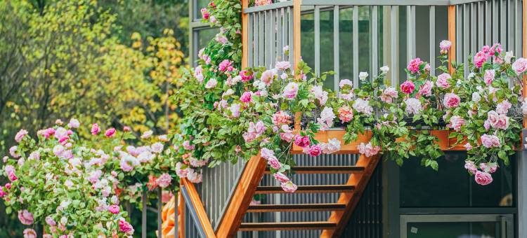溧阳天目湖豪生大酒店图片
