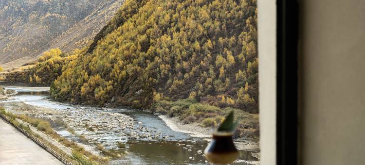 暮山映雪·天空之域ISLAND  VILLAGE(新都桥店)图片