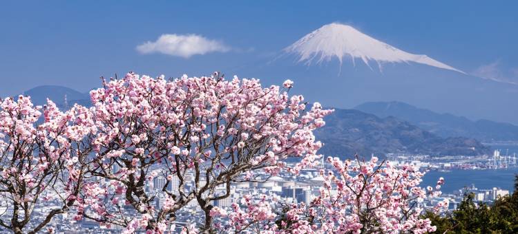 烧津龟之井酒店(Kamenoi Hotel Yaizu)图片