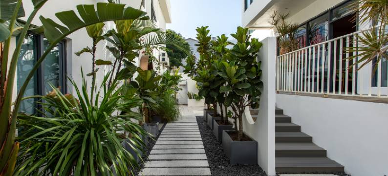 巡隐·Wildness Luxury 野奢避世亲子美宿(深圳较场尾沙滩店)图片