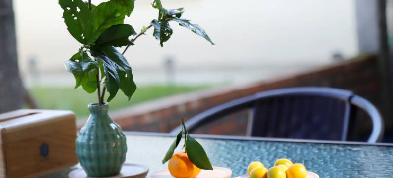 龙游山隐民宿(溪口店)图片