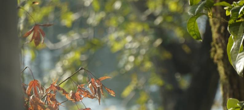 衢州东方桥庵里酒店图片