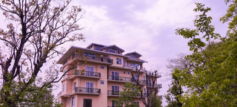 Click Collection the Abode, Dharamshala图片