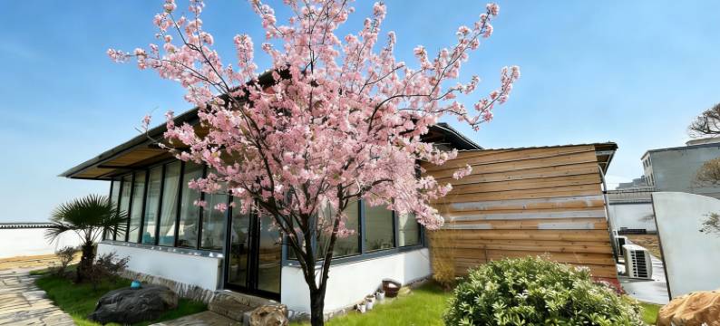 登封有鹿民宿(嵩山风景区店)图片