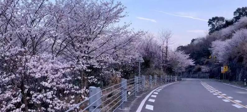 宁波沄野和光·栖霞坑民宿图片