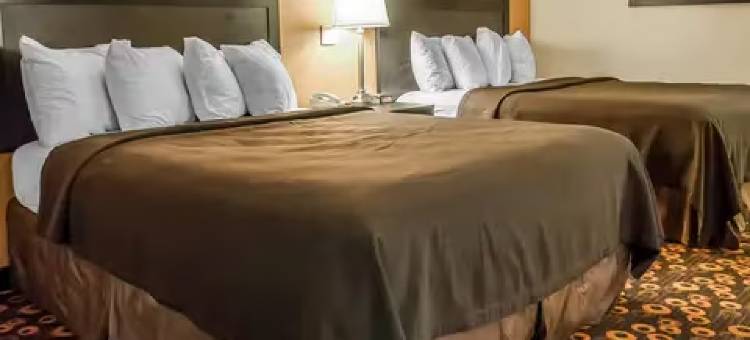 伊康套房旅馆(Econo Lodge Inn & Suites)图片