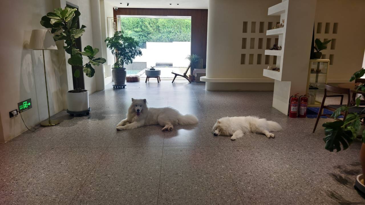 茶香四时·茶空间民宿(花果山景区店)图片