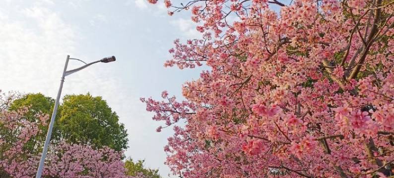 韶关学院发展中心公寓图片