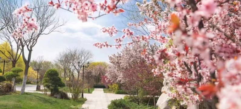 天津滨海一号酒店图片