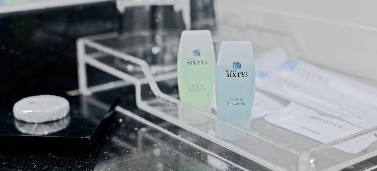 六十三酒店(Hotel Sixty3)图片