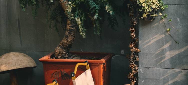 中南门客栈(铜仁古城店)图片