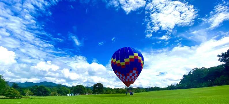 西双版纳景洪金大象商务酒店(告庄西双景店)图片