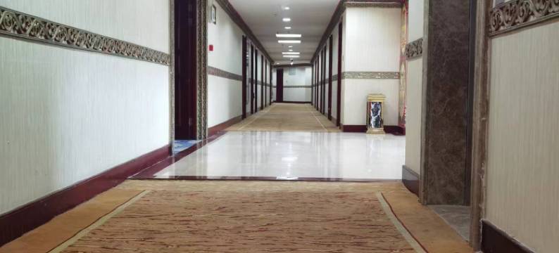 临潭野林关大酒店图片