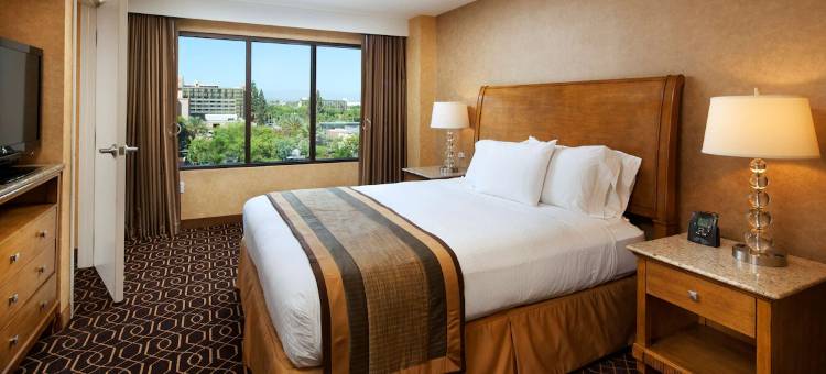 阿纳海姆会议中心逸林套房酒店(DoubleTree Suites by Hilton Anaheim Resort/Convention Center)图片