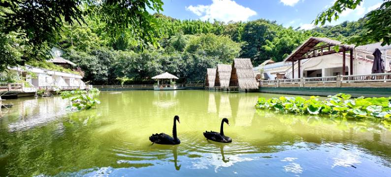 三顾茅庐民宿(帽峰山森林公园店)图片