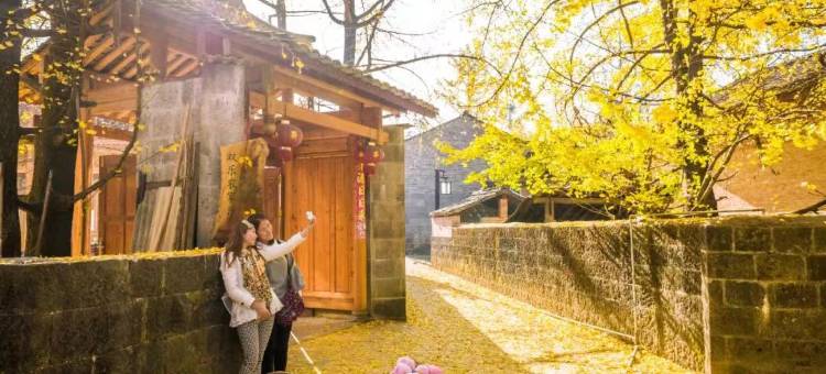 腾冲盈滇客栈(银杏村店)图片