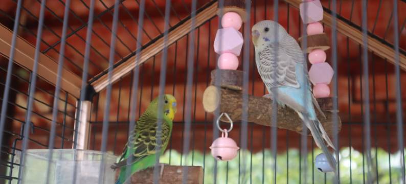 钟祥揽月民宿图片