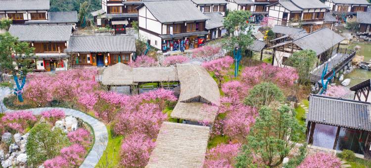 葛仙村度假区仙村客驿酒店图片