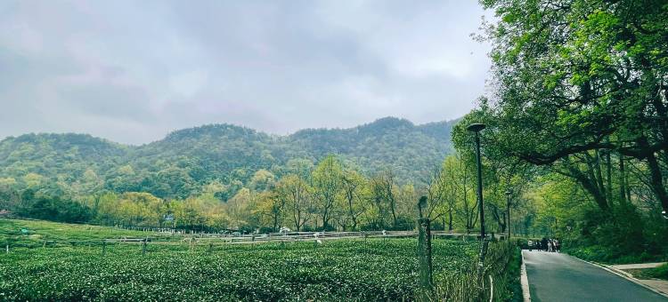 杭州茗篁居(西湖景区店)图片