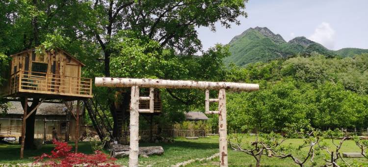 胡桃树下乡村民宿图片