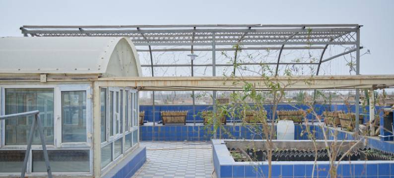 疆南雅居民宿图片