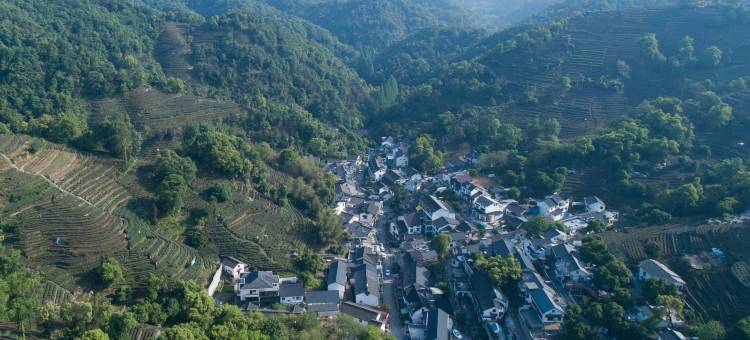杭州约取·云上民宿(西湖景区店)图片