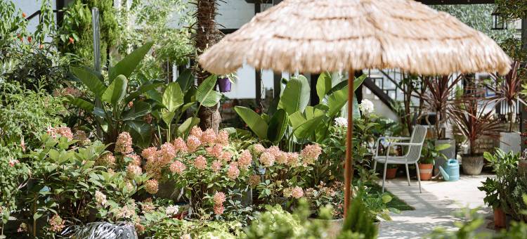 花筑·取景框花园民宿(大理古城店)图片