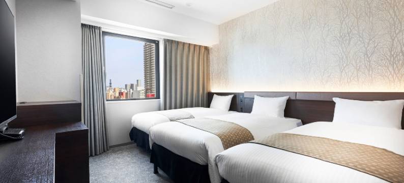 大和鲁内酒店札幌中岛公园(Daiwa Roynet Hotel Sapporo Nakajima Koen)图片