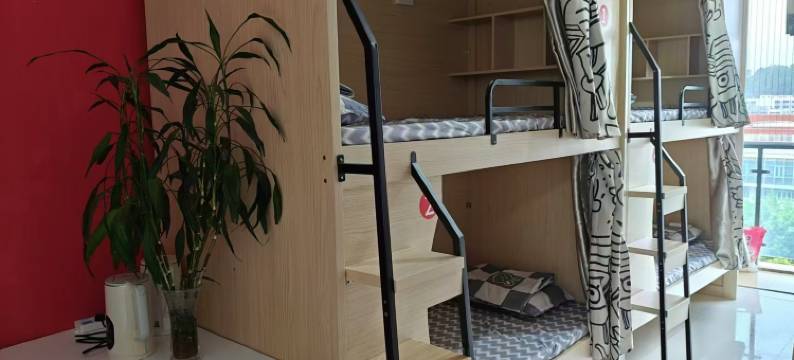 星期天青年旅舍图片