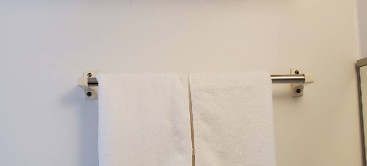 威尼基卡尔顿酒店大阪道顿堀(Benikea Calton Hotel Osaka Doutonbori)图片