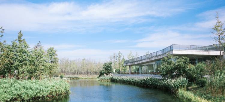 嘉兴飞鸟集丨万棵银杏·千亩湖域·宠物友好·音乐现场·度假民宿图片