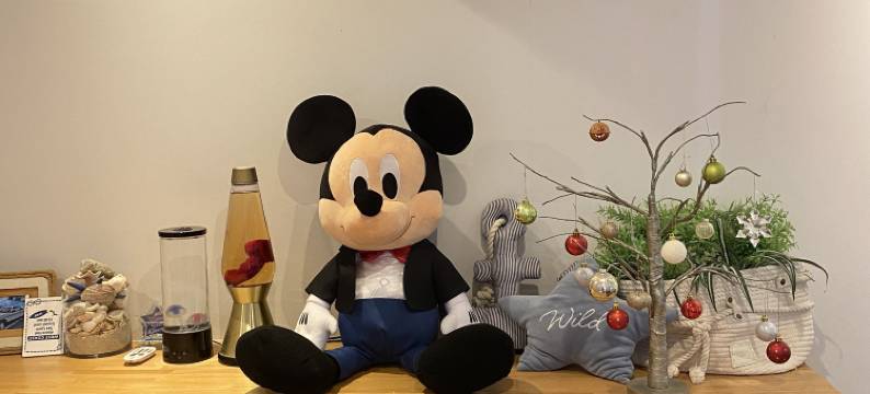 Yanbarunia(HOTEL YANBARUNIA)图片