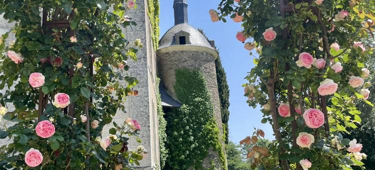 伊皮奈城堡酒店(Château de l'Epinay)图片