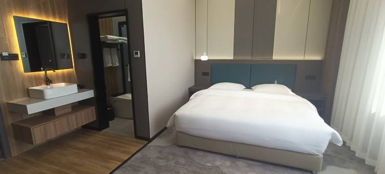 嘉逸万科酒店图片