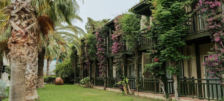 帕洛玛海洋 - 全包式(Paloma Oceana)图片